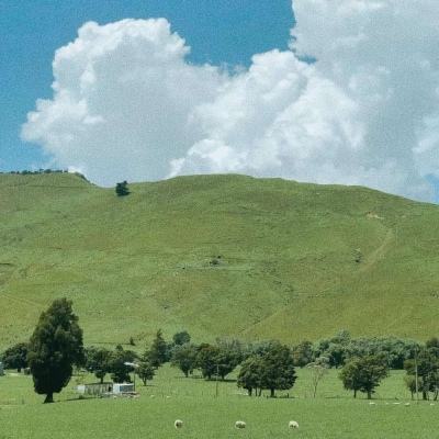 澳客APP下载官网app下载