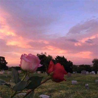 皇冠下载官网app截图